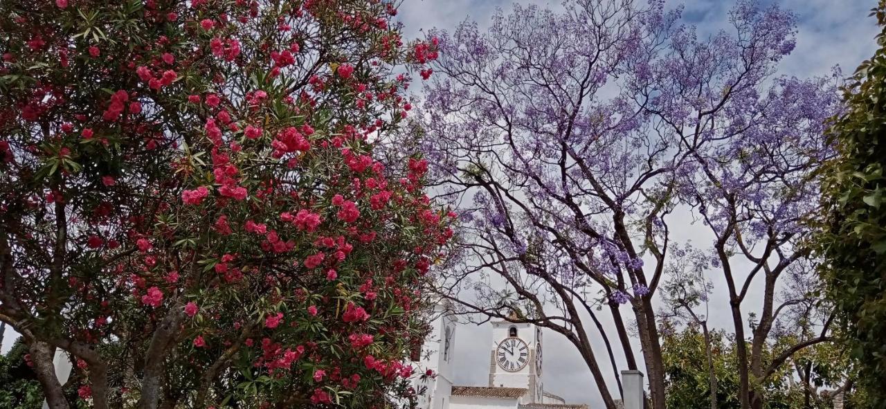 Le Boucanier タヴィラ エクステリア 写真